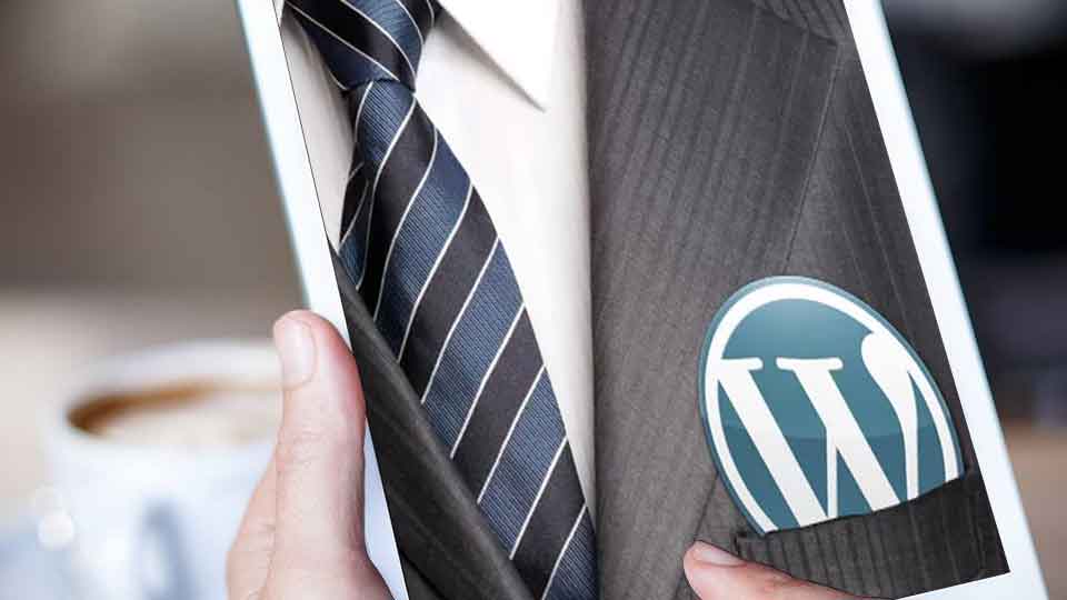3 technical skills you must have to be a professional wordpress developer